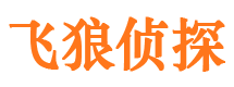 郸城市调查公司